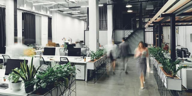 Lewis Nedas Law Office Interior